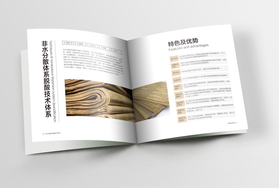 邁越文保宣傳畫冊設計