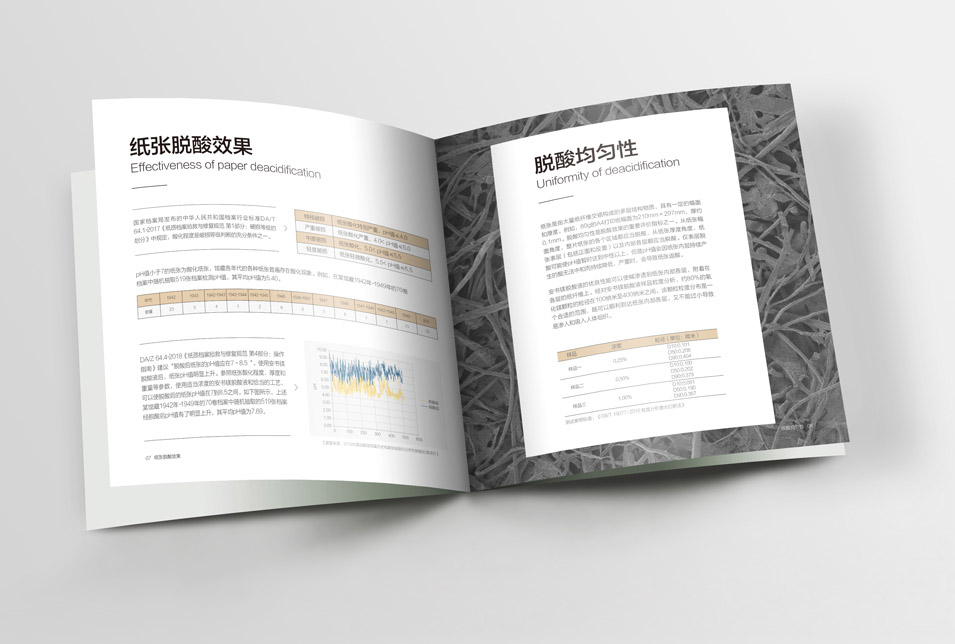 邁越文保宣傳畫冊設計
