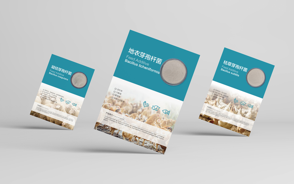 農(nóng)業(yè)畜牧業(yè)畫冊設(shè)計(jì)、封套單頁設(shè)計(jì)